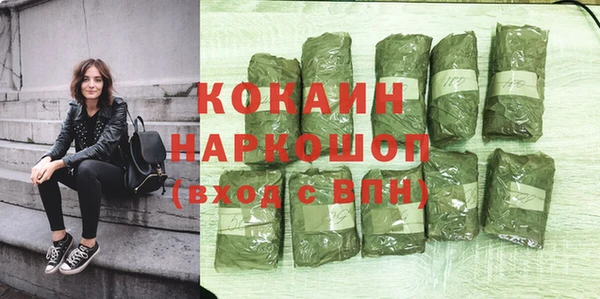 хмурый Аркадак