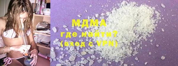 хмурый Аркадак
