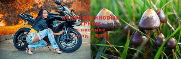 прущая мука Балахна