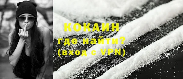 хмурый Аркадак