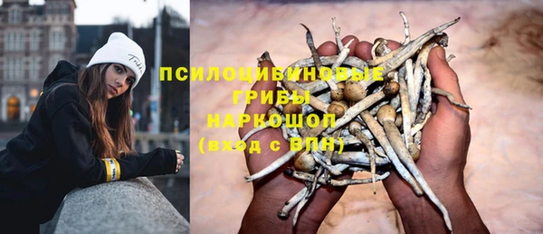 а пвп мука Армянск