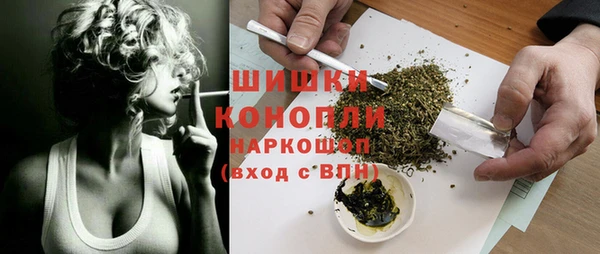 хмурый Аркадак