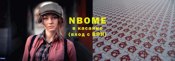 хмурый Аркадак